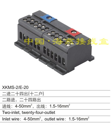 XKMS-2/E-20